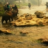 Zdjęcie z Tajlandii - przeprawa przez rzekę