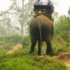 Zdjęcie z Tajlandii - :)) słoń też czasem musi...:)