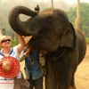 Zdjęcie z Tajlandii - słoń w dotyku jest strasznie szorstki:))
