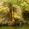 Zdjęcie z Tajlandii - piękne okoliczności przyrody