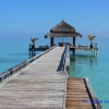 Zdjęcie z Malediw - Laguna Bar