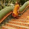 Zdjęcie z Tajlandii - schody do Wat Doi Suthep