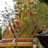 Zdjęcie z Tajlandii - Wat Doi Suthep