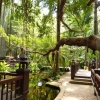 Zdjęcie z Tajlandii - w hotelowym ogrodzie....