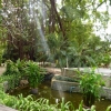 Zdjęcie z Tajlandii - w hotelowym ogrodzie....