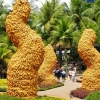 Zdjęcie z Tajlandii - kukurydziane obeliski na Wzgórzach Motyli