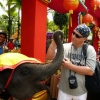 Zdjęcie z Tajlandii - trzymał mocno banana i za nic nie chciał puścić:))