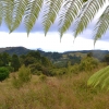 Zdjęcie z Nowej Zelandii - Okolice ogrodu