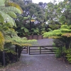 Zdjęcie z Nowej Zelandii - Waitati Gardens