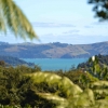 Zdjęcie z Nowej Zelandii - Za zielonym oknem