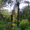 Zdjęcie z Nowej Zelandii - Zakamarki Waitati Gardens