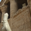 Zdjęcie z Egiptu - Horus