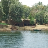 Zdjęcie z Egiptu - wzdłuż Nilu