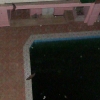 Zdjęcie z Egiptu - nad basenem