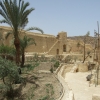 Zdjęcie z Egiptu - klasztorny ogród