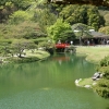 Zdjęcie z Japonii - ogrody...