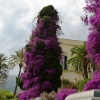 Zdjęcie z Włoch - Taormina