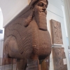 Zdjęcie z Wielkiej Brytanii - Skrzydlaty byk o ludzkiej głowie z pałacu króla Sargona II 