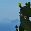 Zdjęcie z Włoch - Stromboli i Panarea z opuncją z Lipari:)