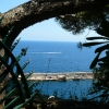 Zdjęcie z Monako - Widok z ogrodu