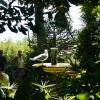 Zdjęcie z Monako - W ogrodzie