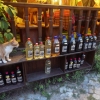 Zdjęcie z Bułgarii - Na taką domową rakijkę i kot łasy... :)