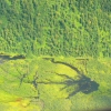 Zdjęcie ze Stanów Zjednoczonych - widoki z lotu