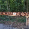 Zdjęcie z Polski - zmierzamy do Rezerwatu Pokazowego Żubrów