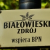 Zdjęcie z Polski - w pałacowym Parku
