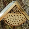 Zdjęcie z Polski - uroczy domek dla pszczół