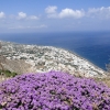Zdjęcie z Grecji - Na górze Mesa Vouno.