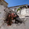 Zdjęcie z Grecji - Galatas. Widok charakterystyczny dla greckiej wsi.
