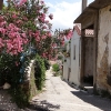 Zdjęcie z Grecji - Argyroupolis - wioska wybudowana na miejscu starożytnego miasta Lappa.