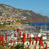 Zdjęcie z Portugalii - widok na port w Funchal z Ogrodu Św. Katarzyny