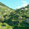 Zdjęcie z Portugalii - wiejska część Madery