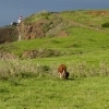 Zdjęcie z Portugalii - Ponta do Pargo; końcówka wyspy; 