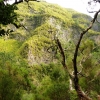 Zdjęcie z Portugalii - widoczki na góry przysłaniają krzaczorki:) ale i tak jest pieknie
