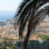 Zdjęcie z Portugalii - widok na Funchal z góry- z Botanical Garden- bezcenny!