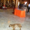 Zdjęcie z Tajlandii - Jedni pezychodza sie pomodlic a inni pospac :)
