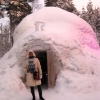Zdjęcie z Finlandii - Ranua - knajpka z lodu