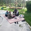Zdjęcie z Iranu - W ogrodzie