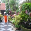 Zdjęcie z Tajlandii - Zakatki Wat Phra That Doi Suthep