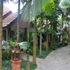 Zdjęcie z Tajlandii - Ogrody hotelu Laluna