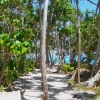 Zdjęcie z Vanuatu - Sciezka wokol wyspy Mystery Island