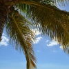 Zdjęcie z Curacao - 
