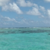 Zdjęcie z Belize - Morze Karaibskie z rafa