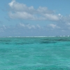 Morze Karaibskie z rafa - Zdjęcie Morze Karaibskie z rafa