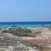 Zdjęcie z Bonaire - 
