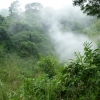 Zdjęcie z Salwadoru - Juayua