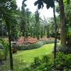 Zdjęcie z Tajlandii - W hotelowym ogrodzie